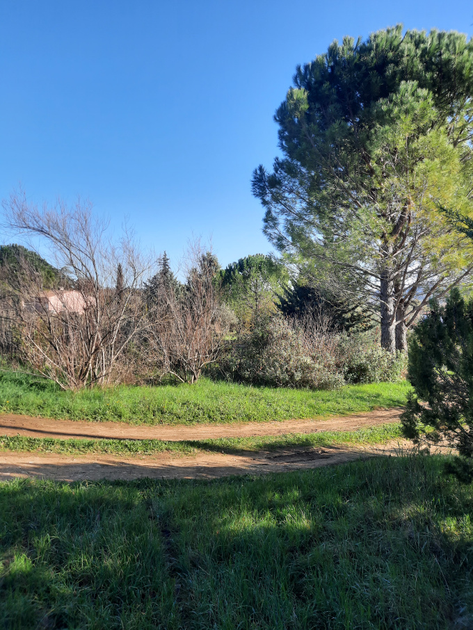 Offres de vente Terrain à batir Brignoles (83170)